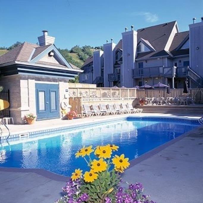 Blue Mountain Suites Blue Mountains Exterior foto