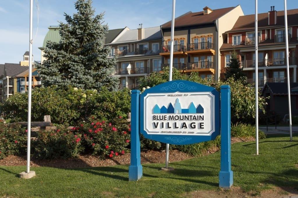 Blue Mountain Suites Blue Mountains Exterior foto