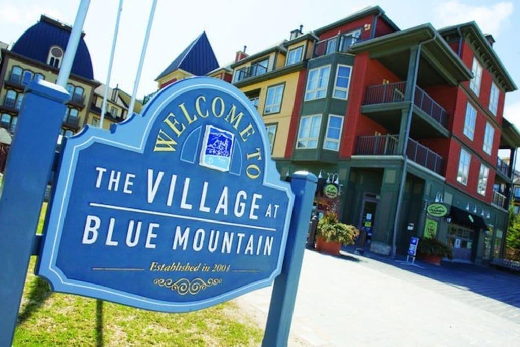 Blue Mountain Suites Blue Mountains Exterior foto